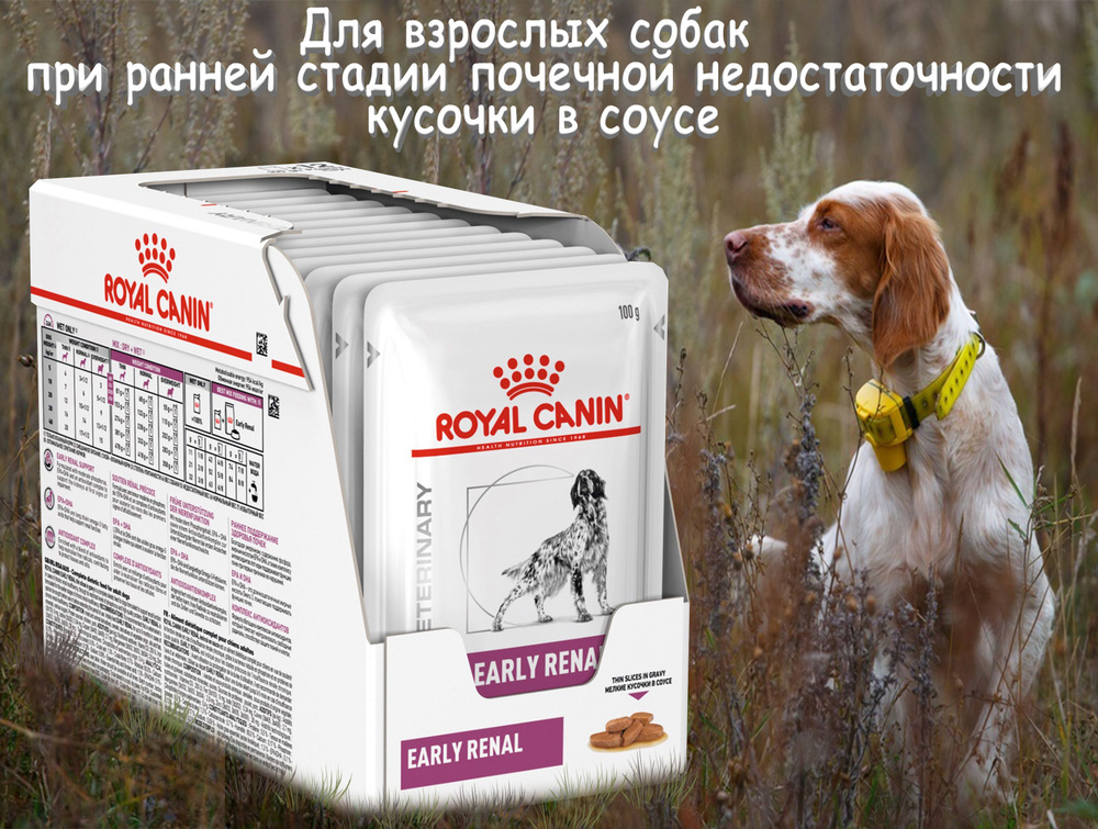 Royal Canin Early Renal