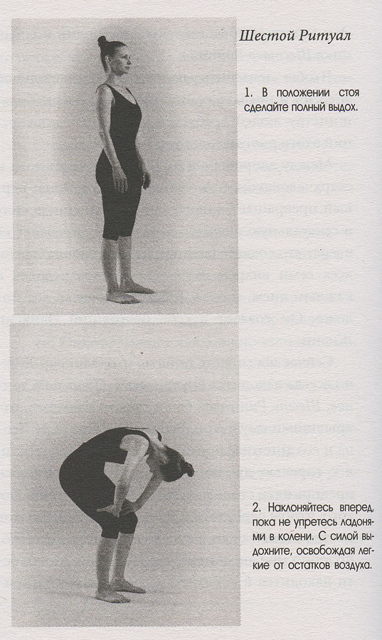 Древний секрет источника молодости. Книга 1 | The Ancient Secret of the Fountain of Youth. Book 1 - Ozon image 1