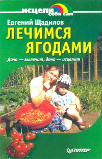 Лечимся ягодами. Дача - вылечит, дача - исцелит | Щадилов Евгений Владимирович  #1