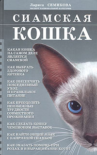 Сиамская кошка начинающим и не только | Семикова Лариса Александровна  #1
