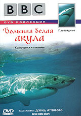 BBC: Плотоядные. Большая белая акула #1