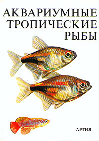 Аквариумные тропические рыбы | Петровицкий Иван #1