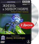 BBC: Жизнь в микромире (2 DVD) #1