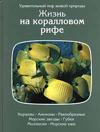 Жизнь на коралловом рифе #1