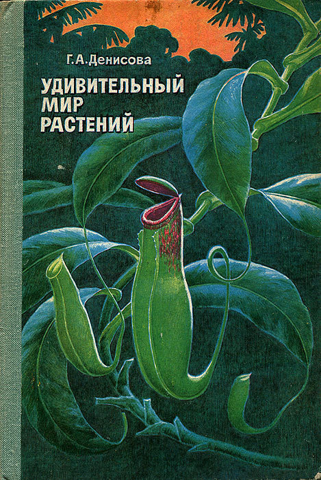 Удивительный мир растений | Денисова Галина Александровна  #1