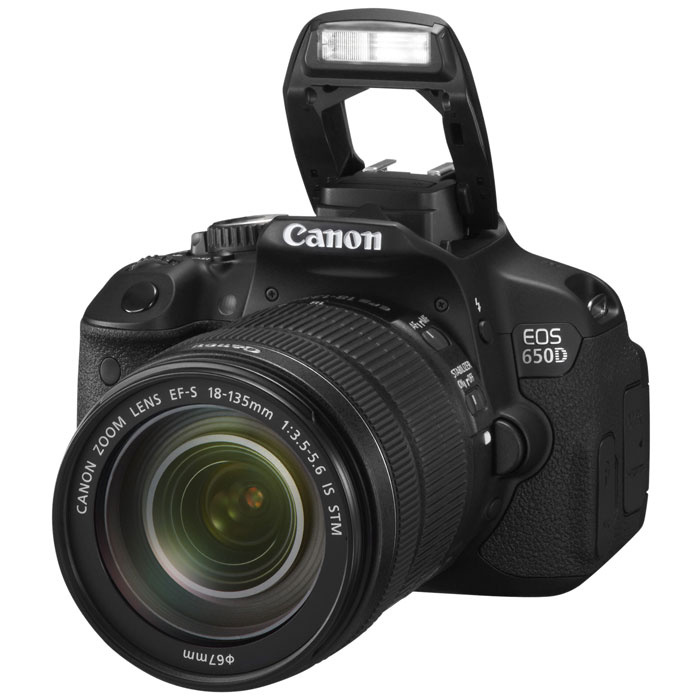 Зеркальный фотоаппарат Canon EOS 650D Kit18-135 IS STM #1