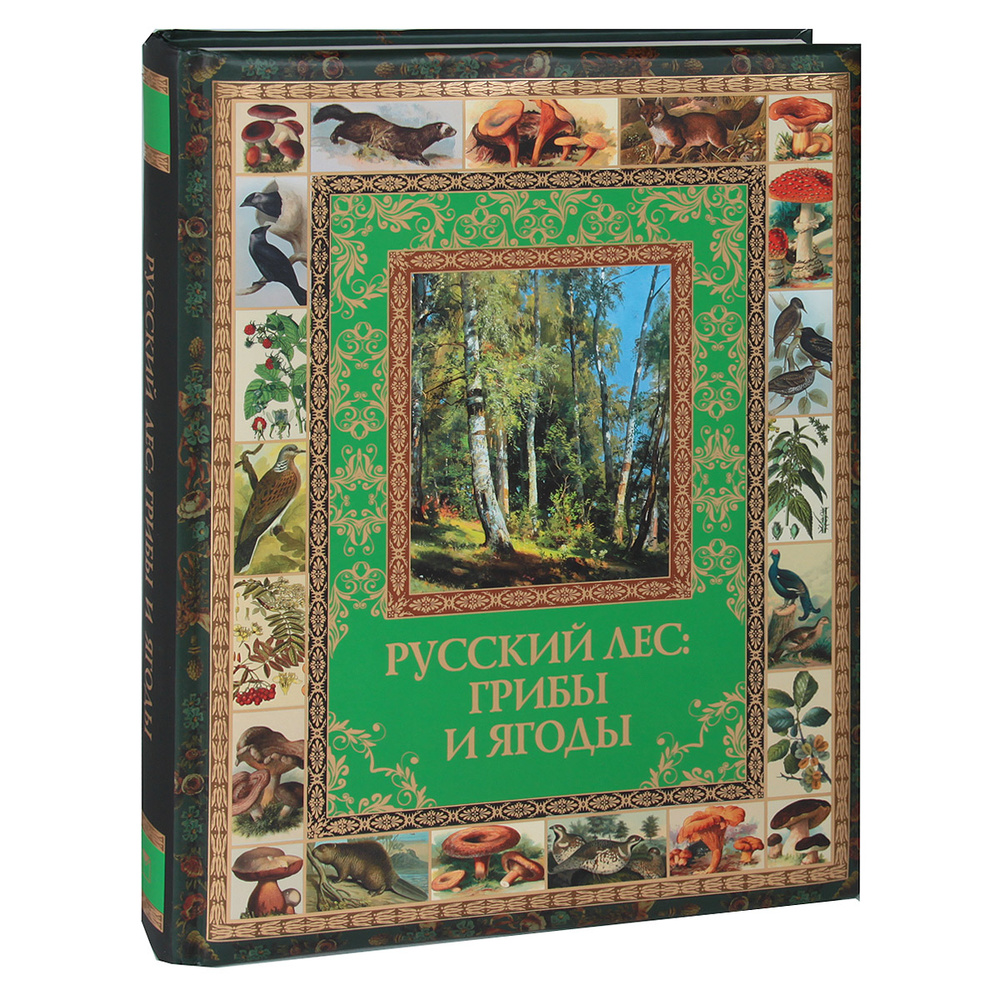 Русский лес: грибы и ягоды #1