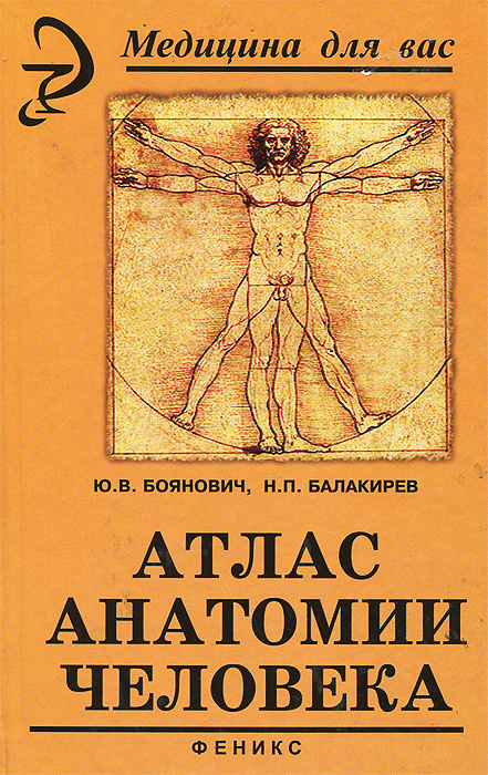 Атлас анатомии человека | Боянович Юрий Владимирович, Балакирев Николай Павлович  #1