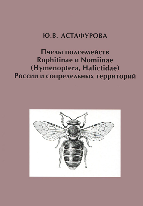 Пчелы подсемейств Rophitinae и Nomiinae (Hymenoptera, Halictidae) России и сопредельных территорий | #1