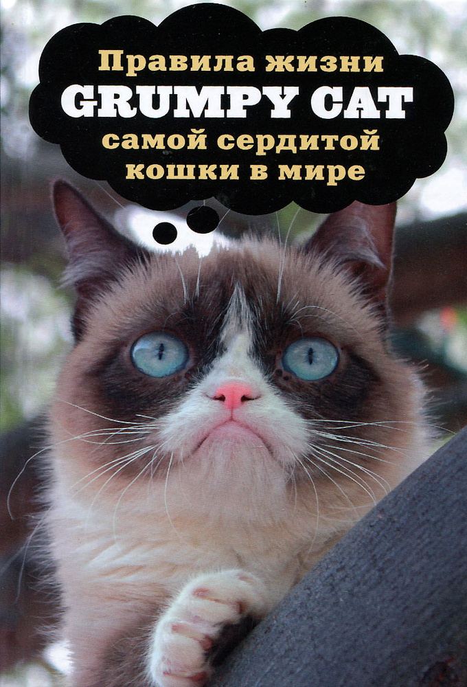 Grumpy Cat. Правила жизни самой сердитой кошки в мире #1