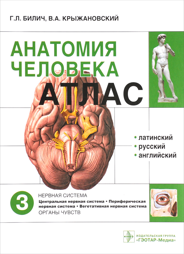 Анатомия человека. Атлас в 3 томах. Том 3. Нервная система | Билич Габриэль Лазаревич, Крыжановский Валерий #1