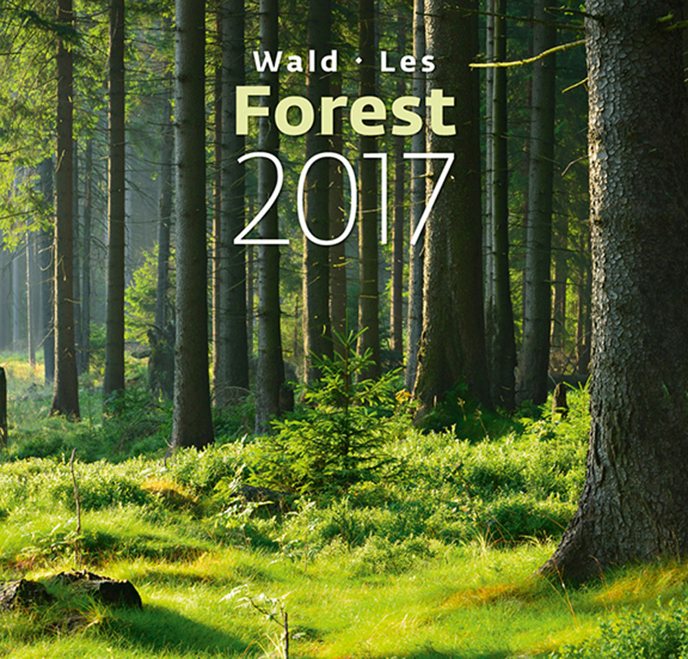 Календарь настенный на 2017 год (на спирали). Forest (Лес) #1