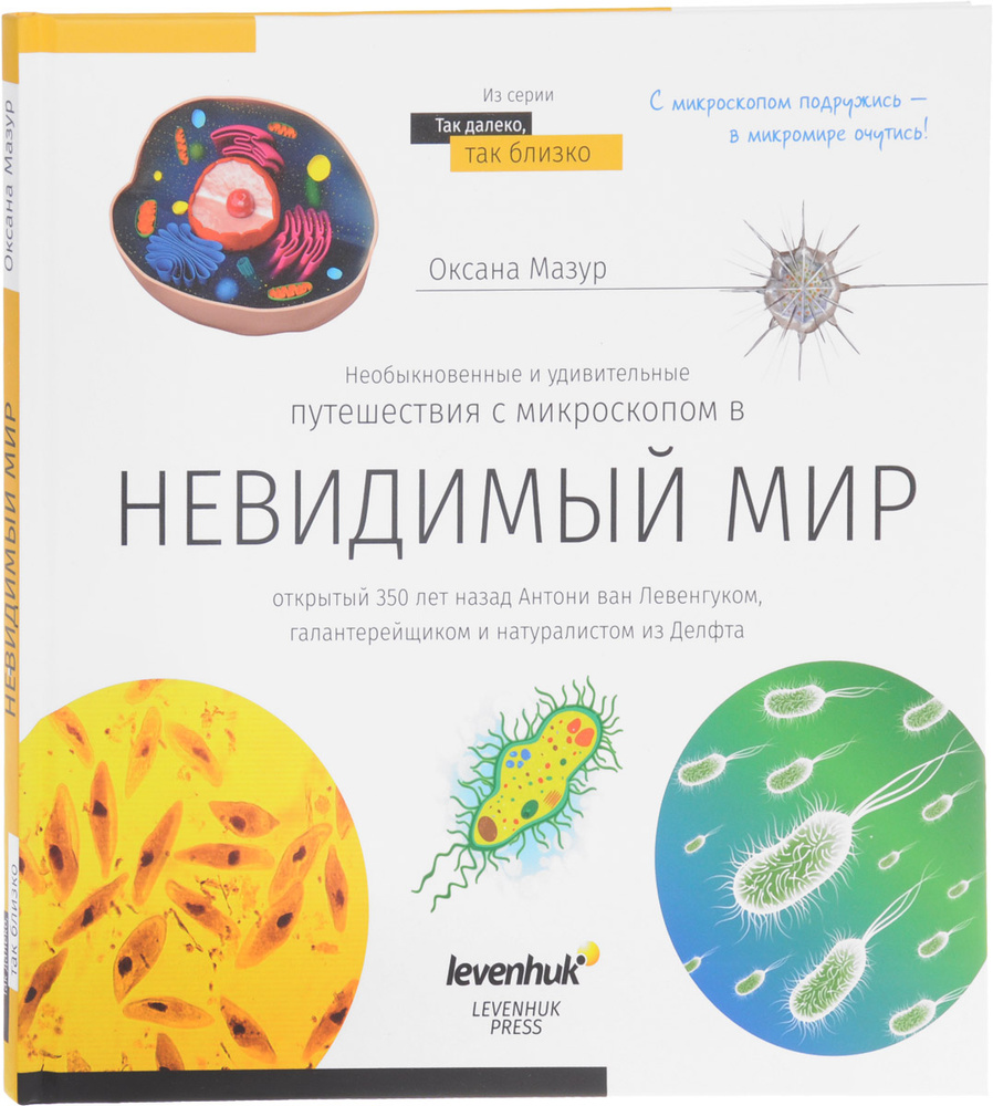 Книга знаний. Невидимый мир #1