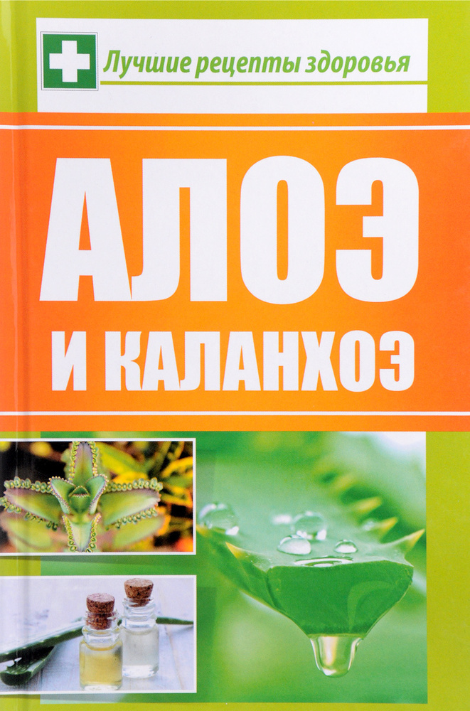 Алоэ и каланхоэ. Лучшие рецепты здоровья | Сайдакова Раиса Ивановна  #1