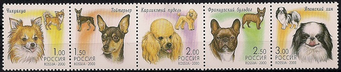 2000. Декоративные собаки. № 605 - 609сц. Сцепка марок #1