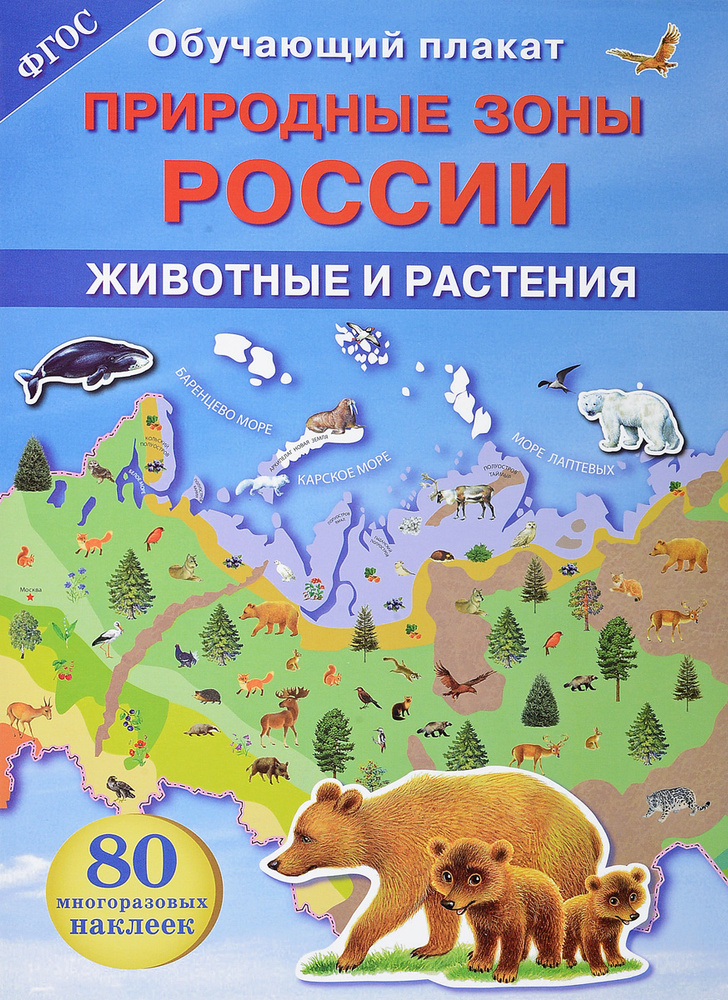 Природные зоны России. Животные и растения. Обучающий плакат (+ 80 наклеек)  #1