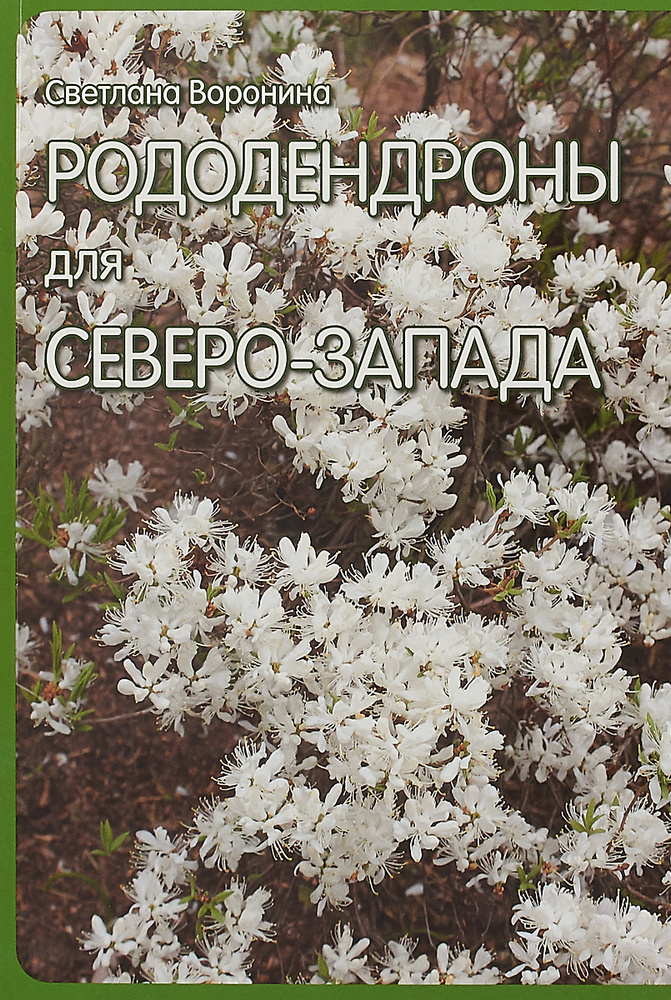 Рододендроны для Северо-Запада | Воронина Светлана Ивановна  #1