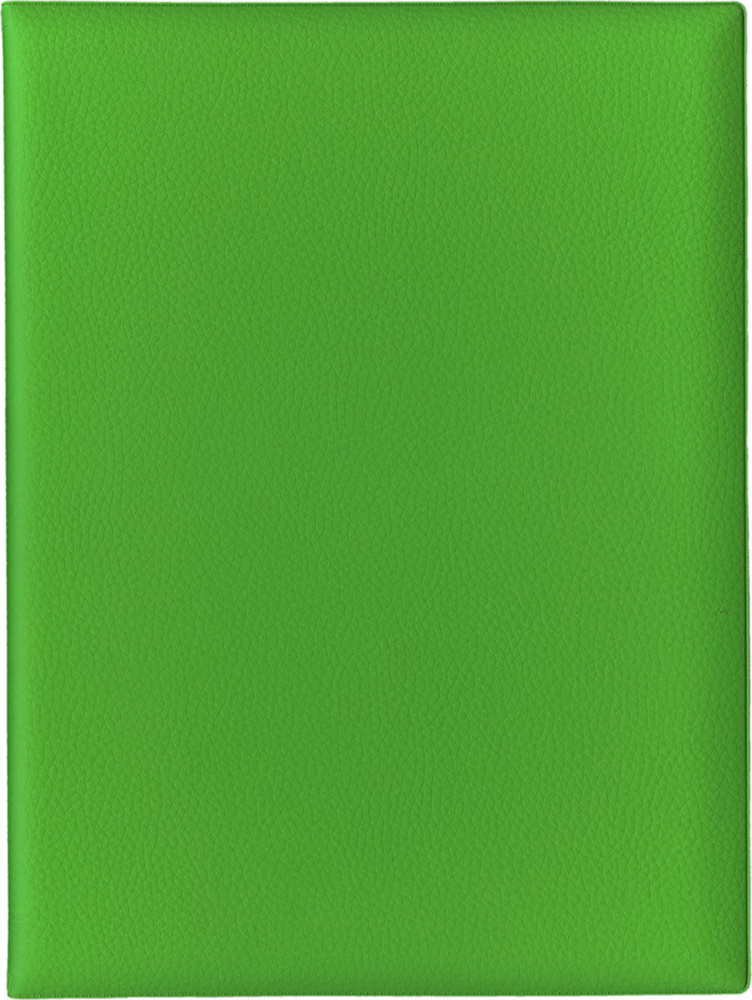 Папка с файлами Стрекоза, A4+, 9899, зеленый #1