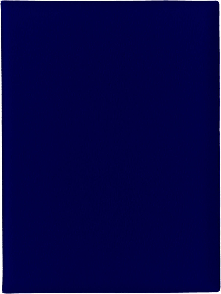 Папка с файлами Стрекоза, A4+, 1686, синий #1