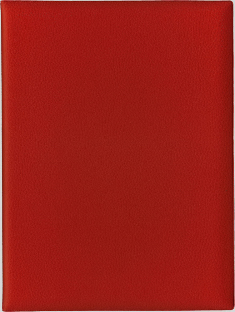 Папка с файлами Стрекоза, A4+, 1684, красный #1