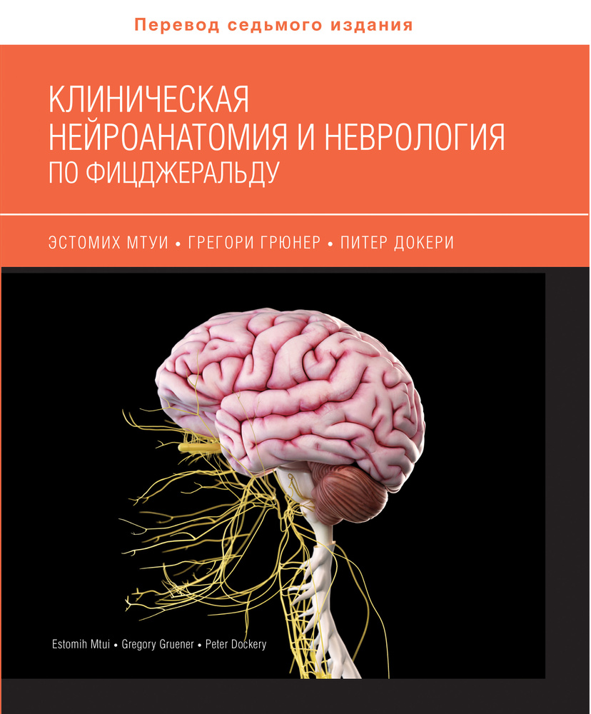 Клиническая нейроанатомия и неврология по Фицджеральду  #1