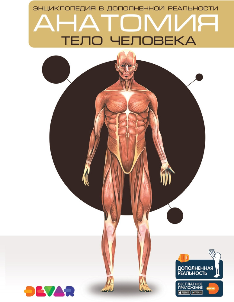 Анатомия. Тело человека. Энциклопедия в дополненной реальности ...