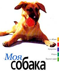 Вы моя собака. Моя собака. Мася собака. Моя собака книга. Книга я и моя собака.