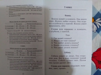 555 изложений, диктантов и текстов для контрольного списывания. 1-4 классы | Узорова Ольга Васильевна, Нефедова Елена Алексеевна #3, Евгения