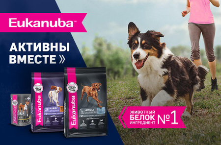 Eukanuba для активности вашего друга!