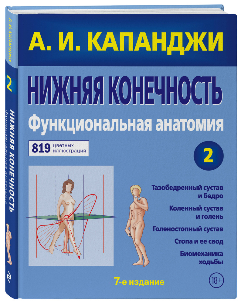 Нижняя конечность: Функциональная анатомия (обновленное издание) | Капанджи А. И.  #1