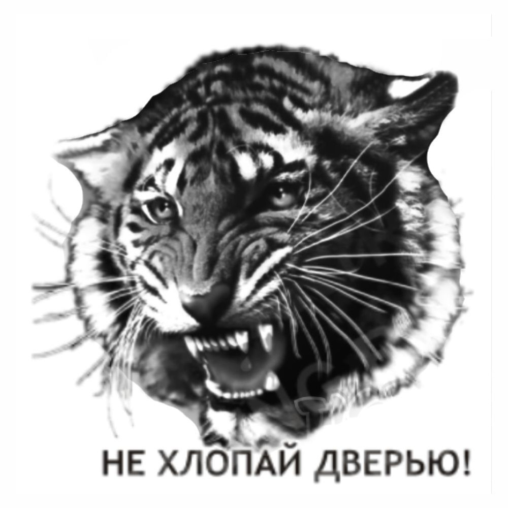 наклейка средняя квадрат "Тигр"(Не хлопай дверью), 90х90мм, Арт рэйсинг  #1