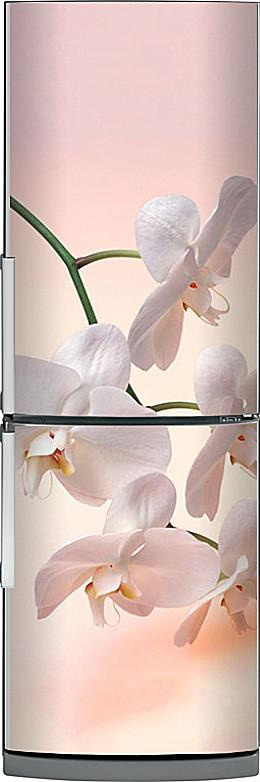 Интерьерная Магнитная наклейка на холодильник "Орхидеи1" 200*60см Магнит панель для дома, дизайн интерьера, #1