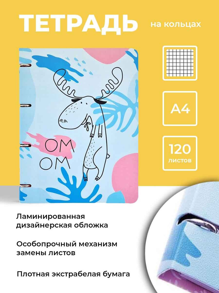 Be Smart Тетрадь А4 на кольцах в клетку со сменным блоком для девочек и ...