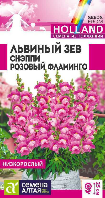 Семена Львиный зев Снэппи Розовый фламинго (10 семян) - Семена Алтая  #1