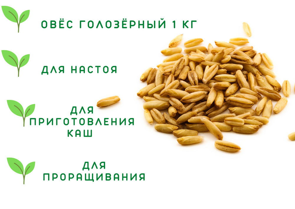 Овёс для проращивания голозёрный  кг #1