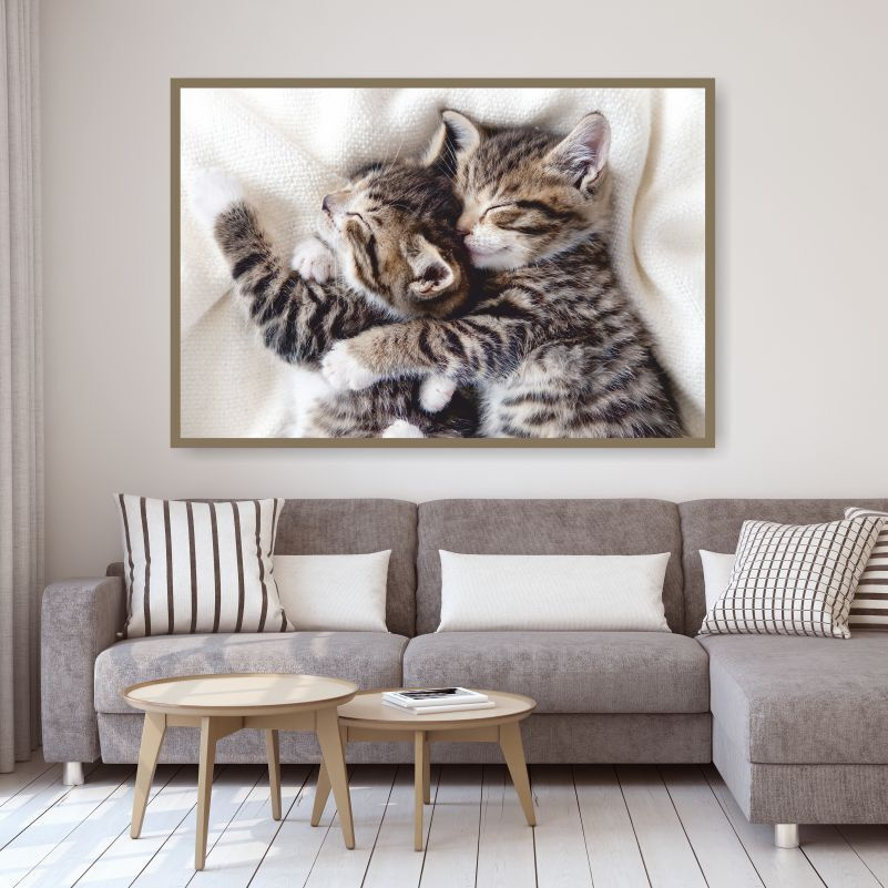 Постер "Двое Милых Спящих Котят" 90х60 см / постеры для интерьера / картина на стену интерьерная / картина #1