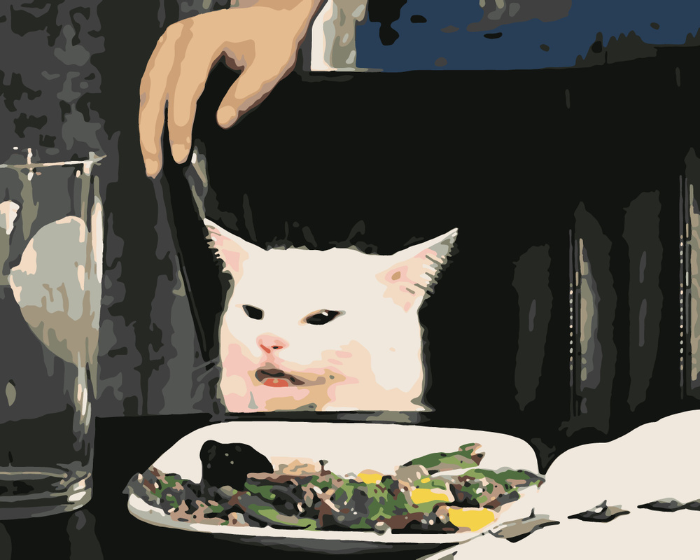 Картина по номерам Hobruk "Мемный котик", на холсте на подрамнике 40х50, раскраска по номерам, набор #1
