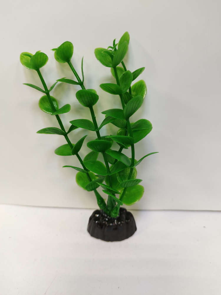 Растение пластиковое Бакопа 10 см #1