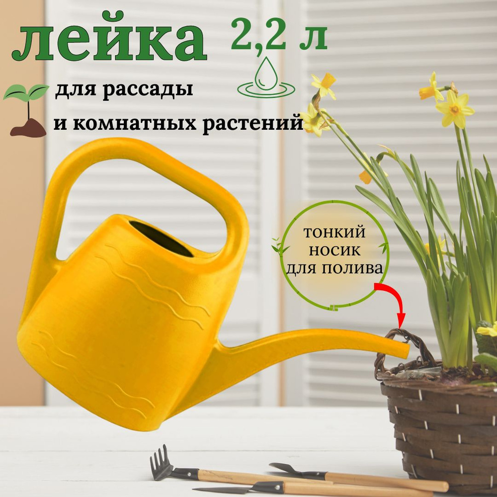 Лейка, 2 л 1 шт #1