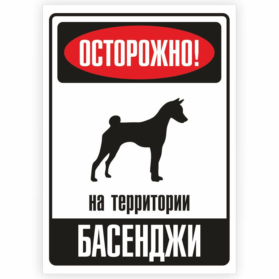 Табличка, металлическая, DANGER DOG, Осторожно! На территории Басенджи, 18x25 см  #1