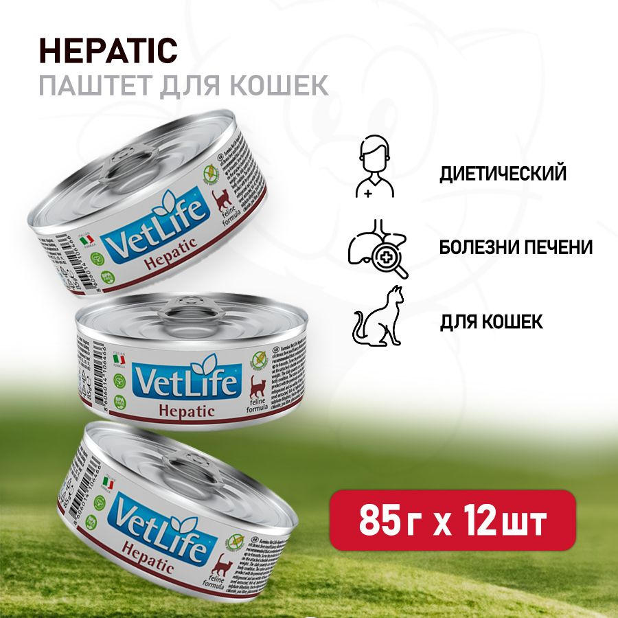 Farmina Vet Life Cat Hepatic влажный корм для кошек при заболевании печени  с курицей, в консервах - 85 г x 12 шт - купить с доставкой по выгодным  ценам в интернет-магазине OZON (764520663)