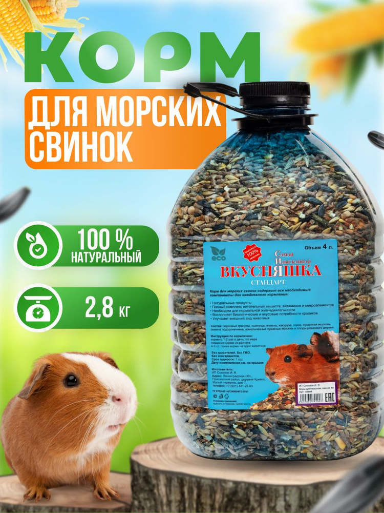 Корм для морских свинок и грызунов ВКУСНЯШКА полноценный зерновой рацион с сухофруктами 4 литра (2,8 #1