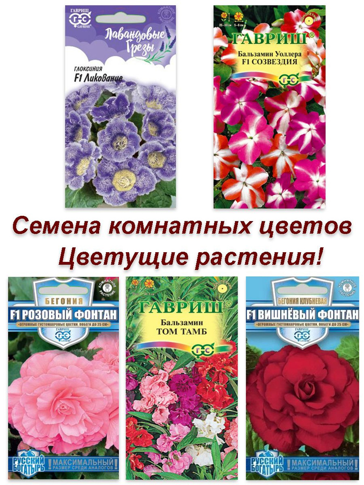 Набор семян, семена Комнатных цветов, глоксиния, бегония, бальзамин  #1