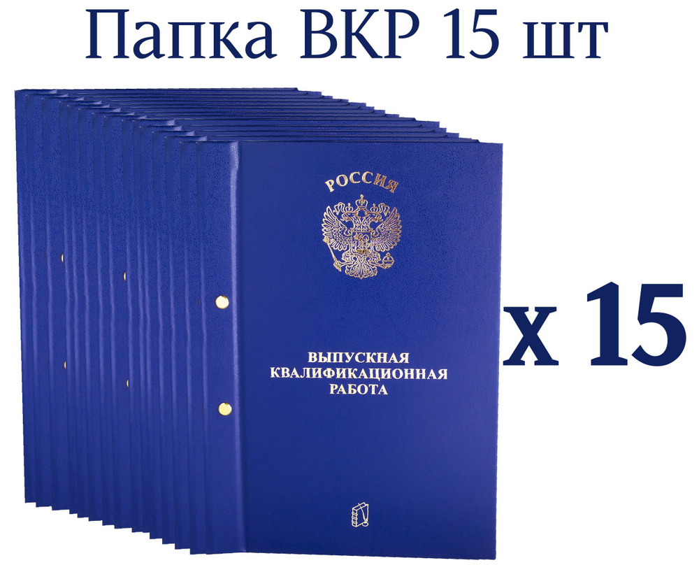 Папка для ВКР на 2 болта комплект 2,3,5,10,15,20 шт Выпускная квалификационная работа  #1