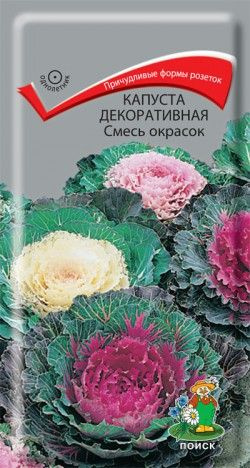 Капуста декоративная Смесь окрасок однол. 0,25гр. (Поиск) #1