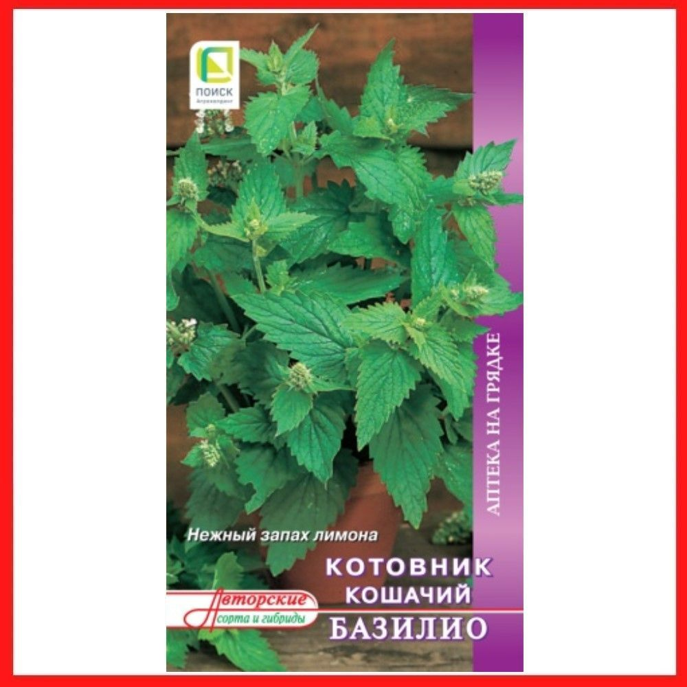 Семена Котовник кошачий "Базилио" 0,25 гр , многолетние травянистые растения, лекарственные травы, для #1