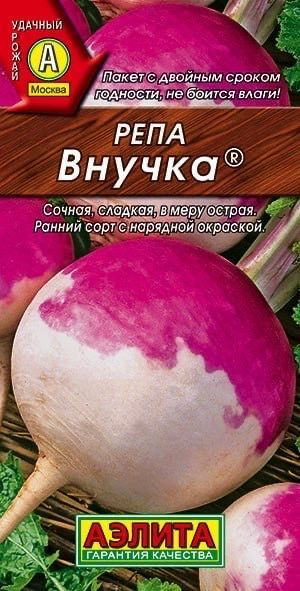 РЕПА ВНУЧКА. Семена. Вес 1 гр. Раннеспелый сорт с белой сладкой мякотью.  #1