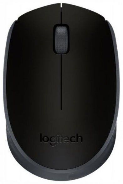 Мышь беспроводная Logitech M171, черный (910-004643) #1