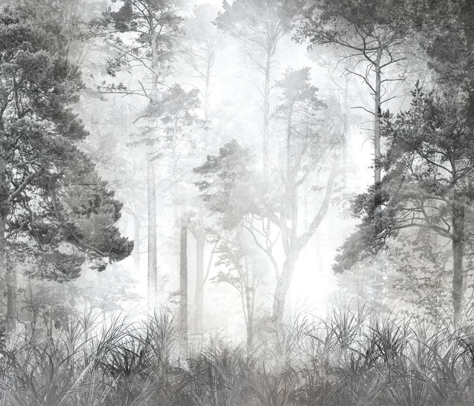 Фотообои GrandPik 10257 "Лес в тумане" см(ШхВ), 350х300 см #1
