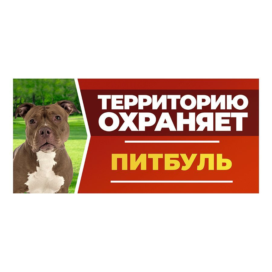 Табличка, DANGER DOG, Питбуль, на забор, 30см х 14см #1